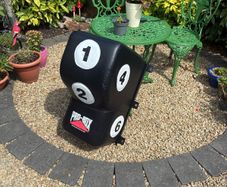 Punch/kick bags
