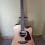 Takamine gd90ce-zc (Semi-acoustic Guitar) Image 2