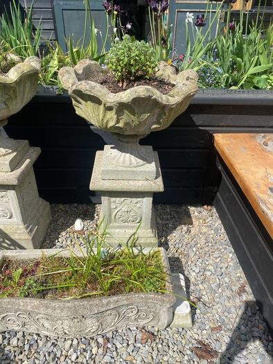outdoor garden