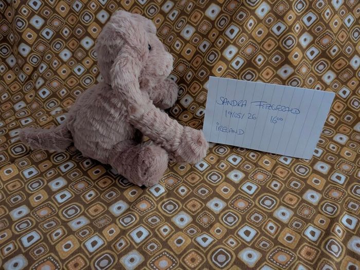 Jellycat Tiny Fuddlewuddle Puppy