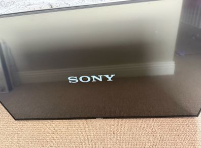 Sony TV non working