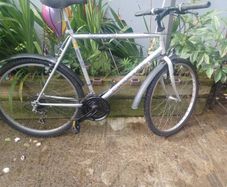 Falcon Mountain Bike