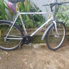 Falcon Mountain Bike