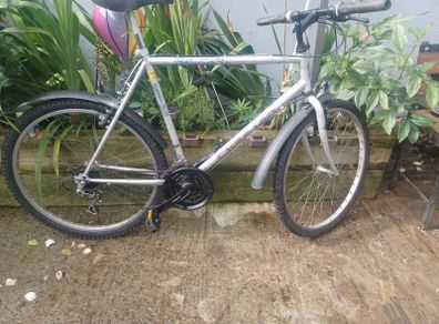 Falcon Mountain Bike