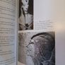 The Murder of Tutankhamun/ Bob Brier/1998/ 1st ed. 2nd impression Image 6
