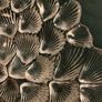 Royal Copenhagen Glass Crystal Shell Bowl Image 4