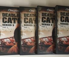 Deadliest Catch - Season 3 (2007) [DVD TV Boxset]