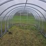 Featured Model: 3x4m Champion Greenhouse Image 5