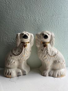 Staffordshire spaniel Pair