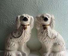 Staffordshire spaniel Pair