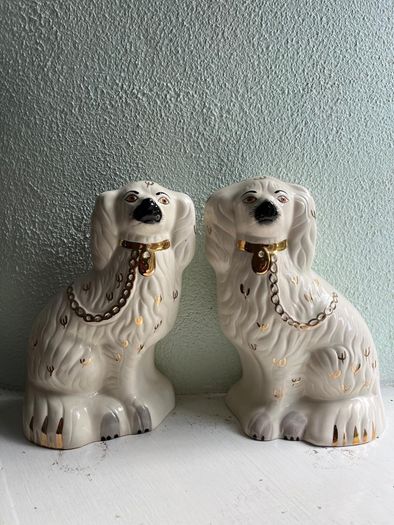 Staffordshire spaniel Pair