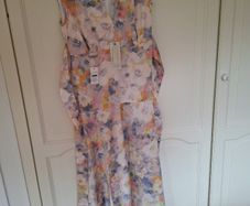 Ladies Dress