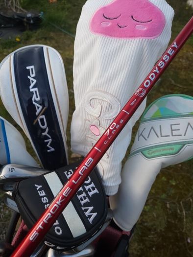 Set of Ladies Golf Clubs