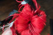 Fascinator