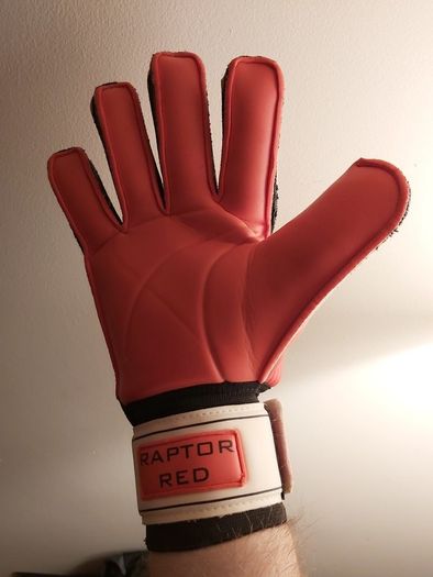 goalkeeper gloves