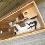 Hamster enclosure with camera and accessories Image 8