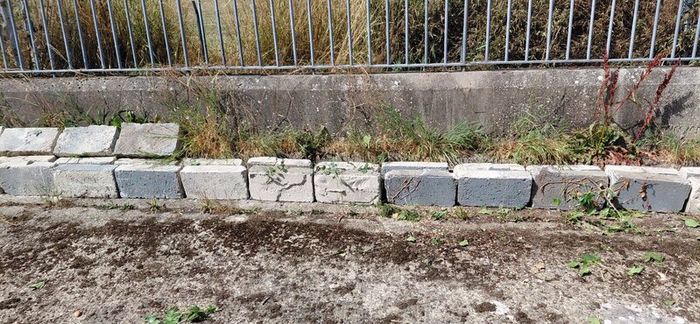 Builders Solid Concrete Blocks