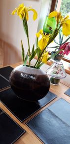Stephen Pearce Shanagarry Pottery Oval Vase