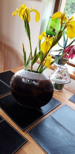 Stephen Pearce Shanagarry Pottery Oval Vase