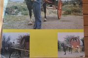 Susan McCann Papas Wagon Vinyl LP Top Spin Irish Country