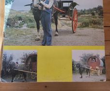 Susan McCann Papas Wagon Vinyl LP Top Spin Irish Country
