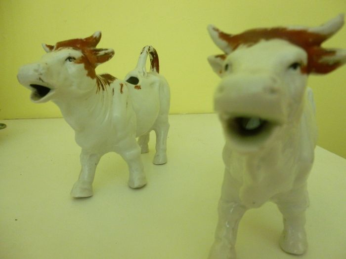 Cow milk jugs