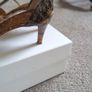 Chloe Tan & Gold Sandals - Size 40 Image 3