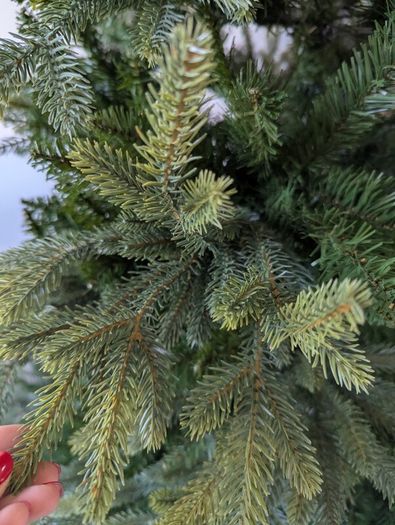 6ft Christmas Tree