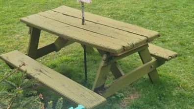 Looking for picnic table