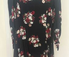 Zara Dress