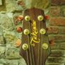 Takamine EN10 Image 3