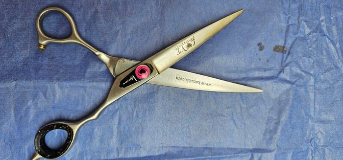 dog grooming scissors