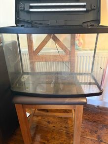fish/ turtle aquarium