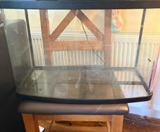 fish/ turtle aquarium