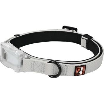 Dogs Creek Collar / Polar Light Up