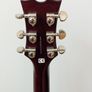 Dean Evo Special Select. Image 6
