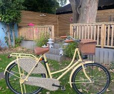 Txed Vintage Leopard print Bicycle