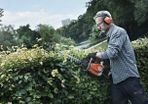 Husqvarna 122hd 60 Hedge Trimmer