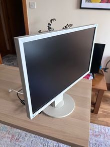 Eizo Flexscan 23" Monitor