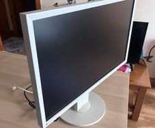 Eizo Flexscan 23" Monitor
