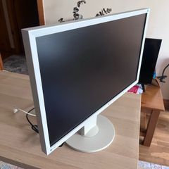 Eizo Flexscan 23" Monitor