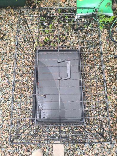 dog crate