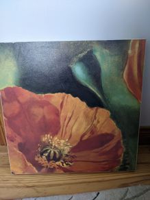Wall canvas