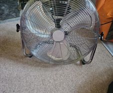 Fan