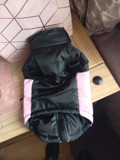 dog jacket