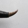 Vintage European Victory Pure Steel Knife Dagger Sword Antique Image 6