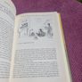 India: The Rise of an Asian Giant (Hardback) Image 7