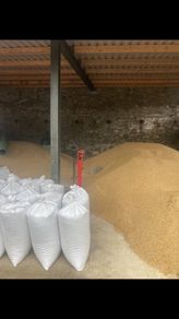 Oats