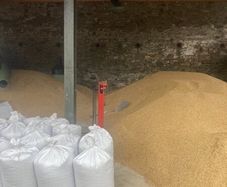 Oats