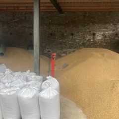 Oats